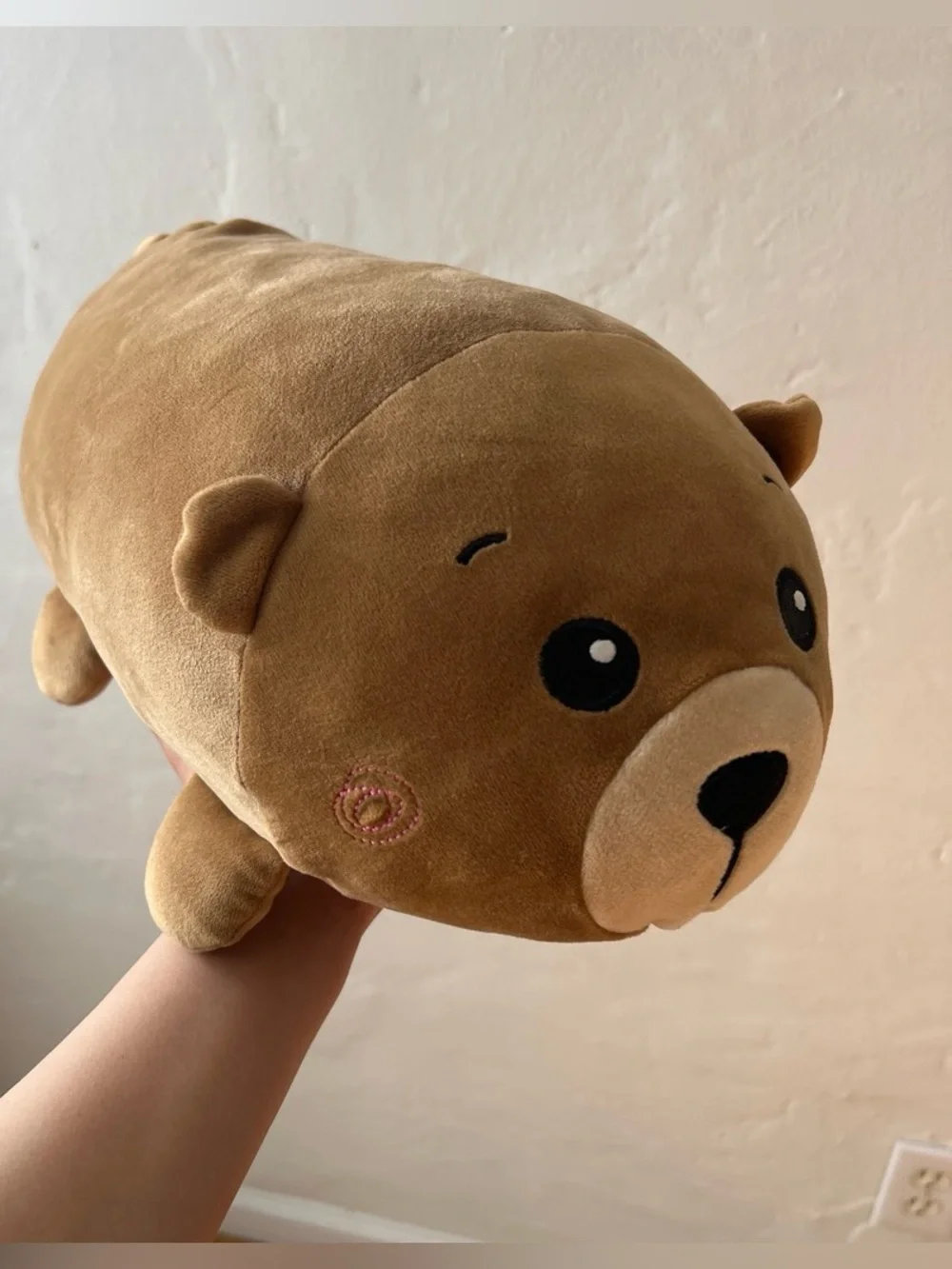 Plush Brown Bear Stuffed Animal